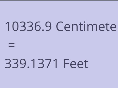10336.9 CM TO FEET