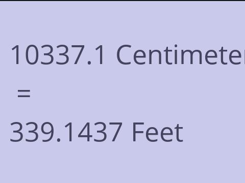 10337.1 CM TO FEET