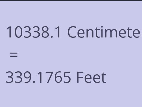 10338.1 CM TO FEET