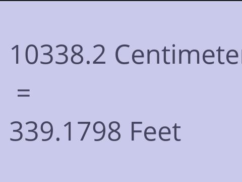10338.2 CM TO FEET