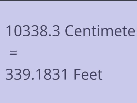 10338.3 CM TO FEET