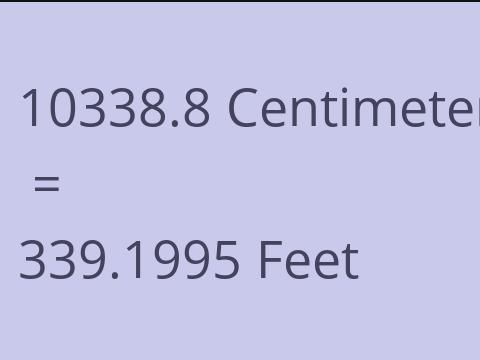 10338.8 CM TO FEET