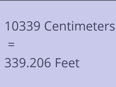 10339 CM TO FEET