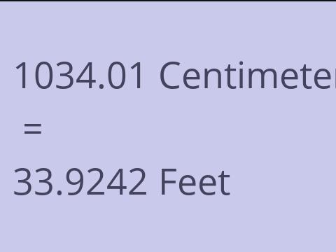 1034.01 CM TO FEET