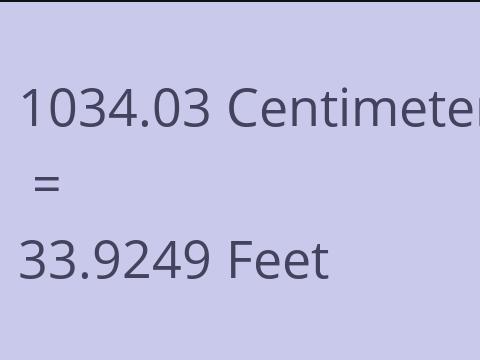 1034.03 CM TO FEET