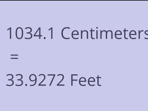 1034.1 CM TO FEET