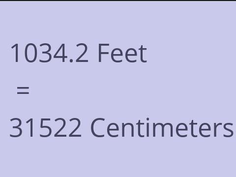 1034.2 FEET TO CM