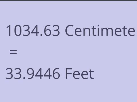 1034.63 CM TO FEET