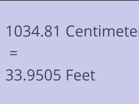 1034.81 CM TO FEET