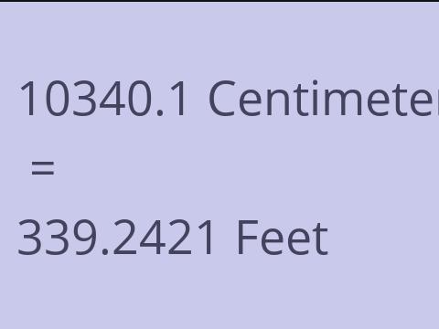 10340.1 CM TO FEET