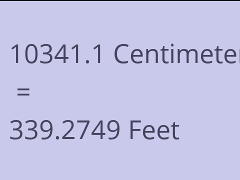 10341.1 CM TO FEET
