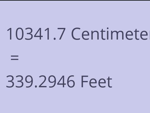 10341.7 CM TO FEET