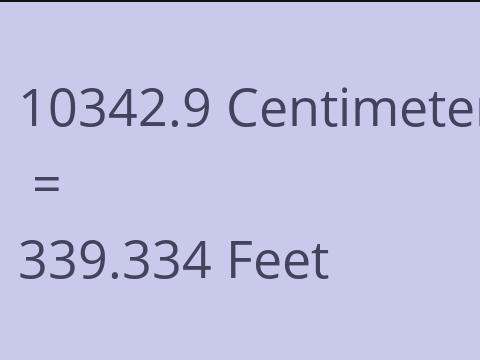10342.9 CM TO FEET