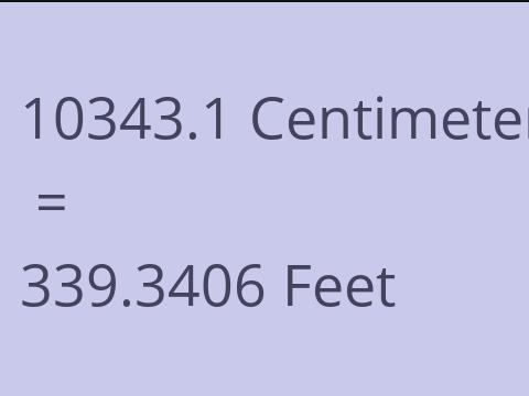 10343.1 CM TO FEET