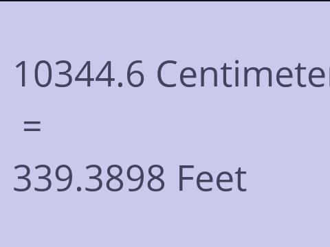 10344.6 CM TO FEET