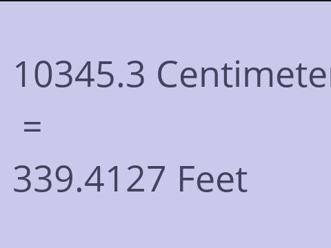 10345.3 CM TO FEET