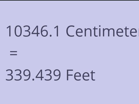 10346.1 CM TO FEET