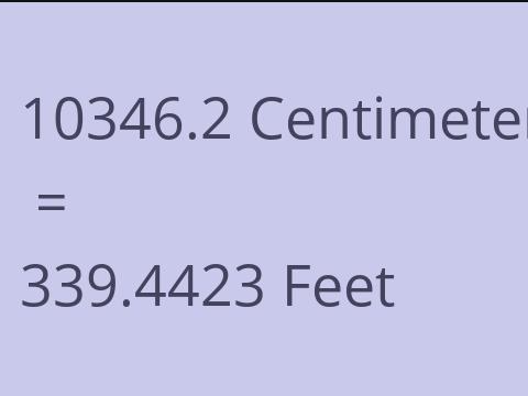 10346.2 CM TO FEET