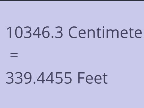 10346.3 CM TO FEET