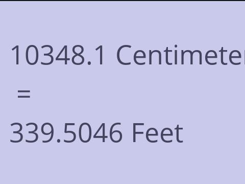 10348.1 CM TO FEET
