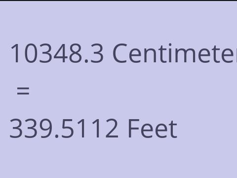 10348.3 CM TO FEET