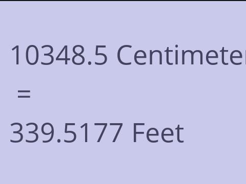 10348.5 CM TO FEET
