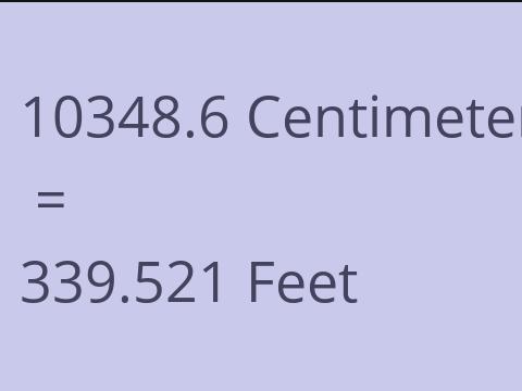 10348.6 CM TO FEET