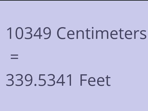 10349 CM TO FEET