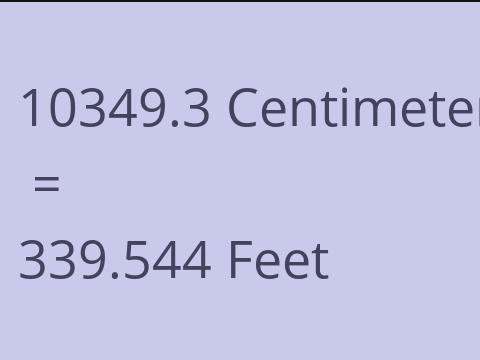 10349.3 CM TO FEET