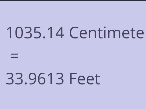 1035.14 CM TO FEET