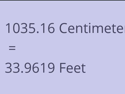 1035.16 CM TO FEET