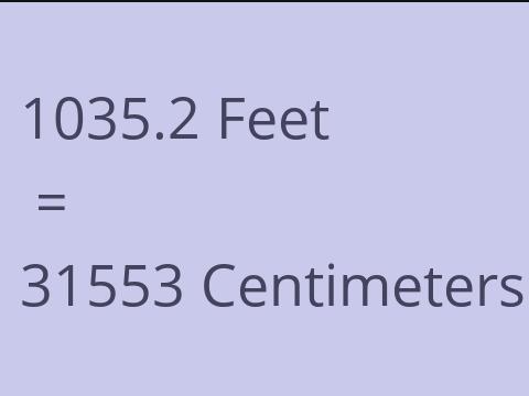 1035.2 FEET TO CM