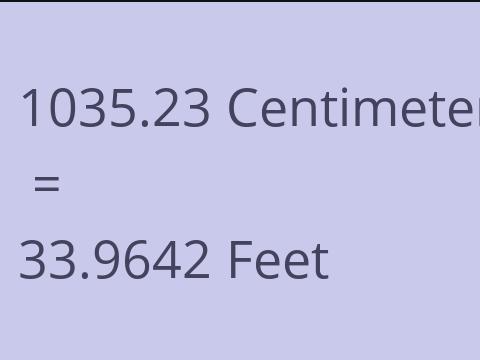 1035.23 CM TO FEET