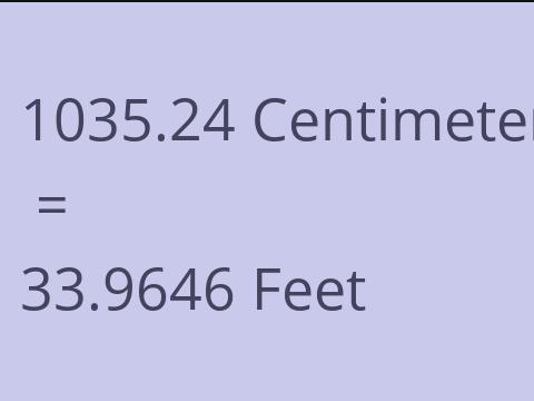 1035.24 CM TO FEET