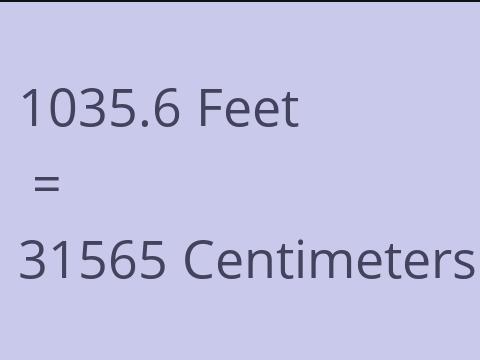 1035.6 FEET TO CM