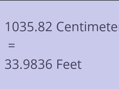 1035.82 CM TO FEET