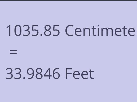 1035.85 CM TO FEET