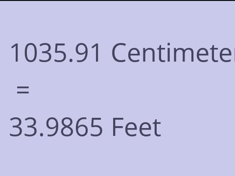 1035.91 CM TO FEET