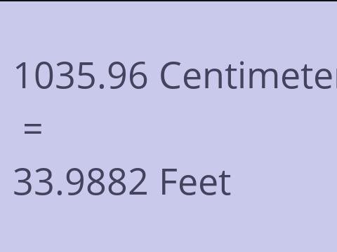 1035.96 CM TO FEET