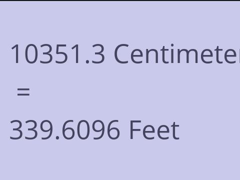10351.3 CM TO FEET