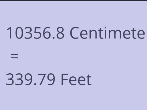 10356.8 CM TO FEET