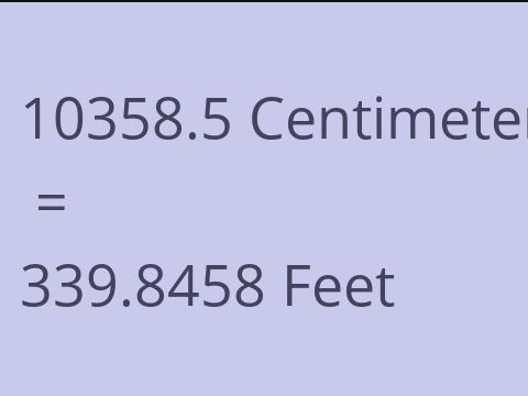10358.5 CM TO FEET