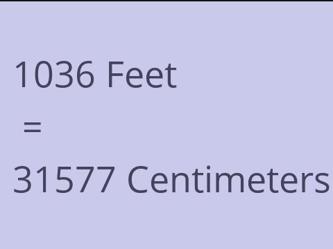 1036 FEET TO CM