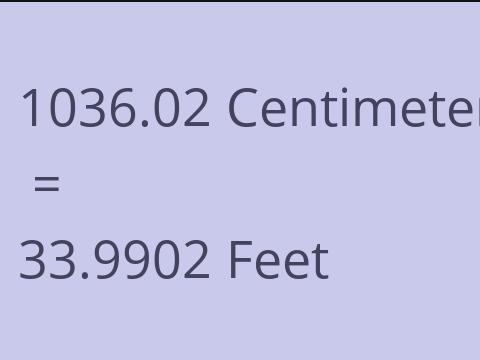 1036.02 CM TO FEET