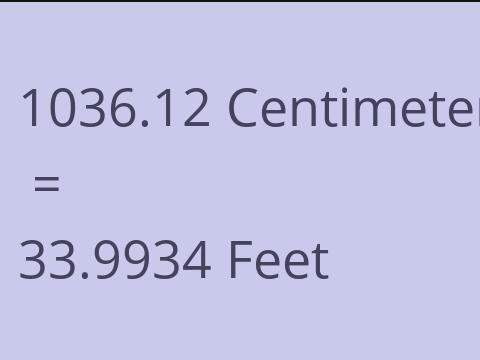 1036.12 CM TO FEET