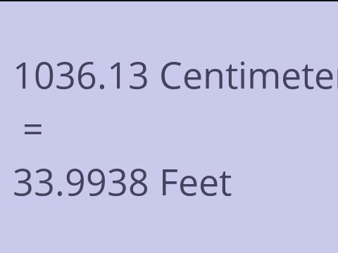 1036.13 CM TO FEET