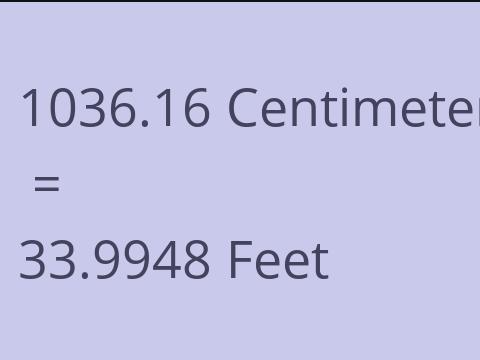 1036.16 CM TO FEET