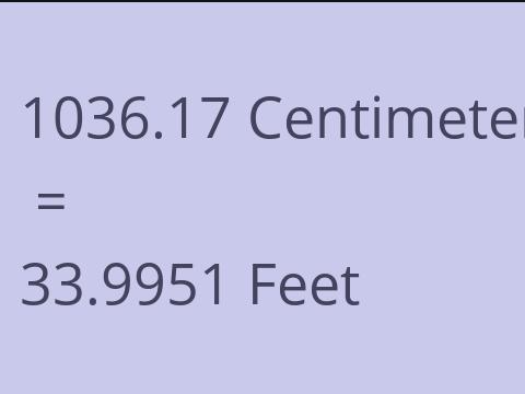 1036.17 CM TO FEET