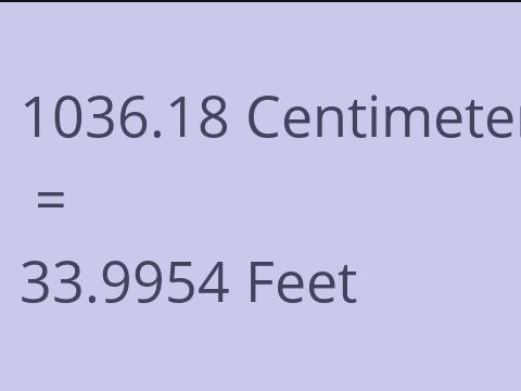 1036.18 CM TO FEET