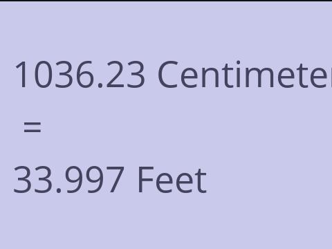 1036.23 CM TO FEET